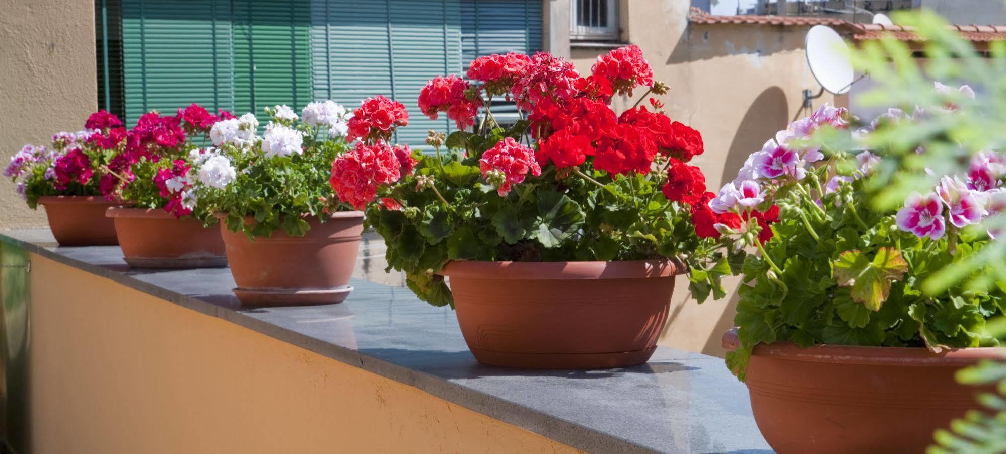 Ferienwohnung Tetto Fiorito Castellammare di Stabia Exterior foto