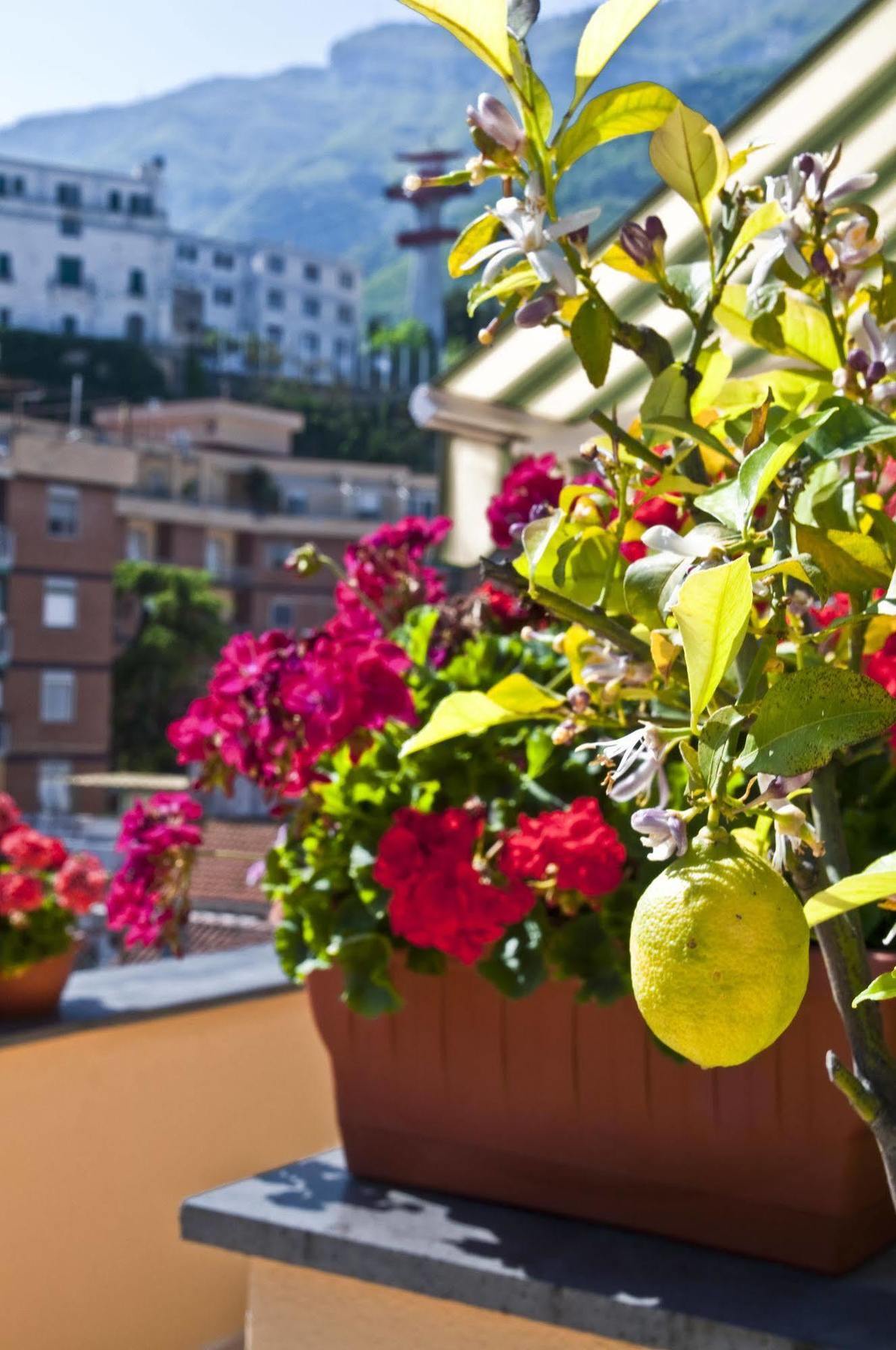 Ferienwohnung Tetto Fiorito Castellammare di Stabia Exterior foto